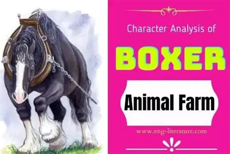 Who Is Boxer Based On In Animal Farm