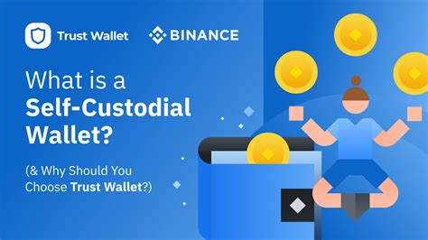 Who Should Use a Custodial Wallet