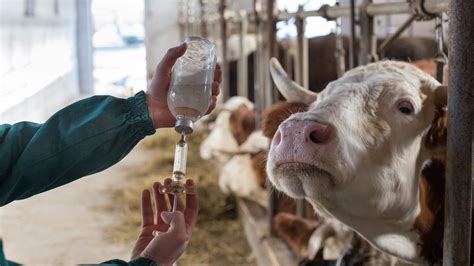 Who Uses More Antibiotics Farm Animals Or Humans