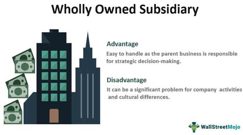 What is a wholly owned subsidiary? Learn here!