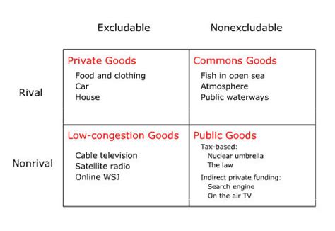 Why Are Excludable Goods Excluded from the Marketplace?