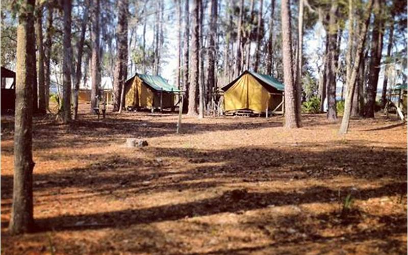 Why Choose A Travel Camp In Savannah Ga