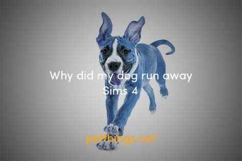 Why Does My Dog Keep Running Away in The Sims 4?