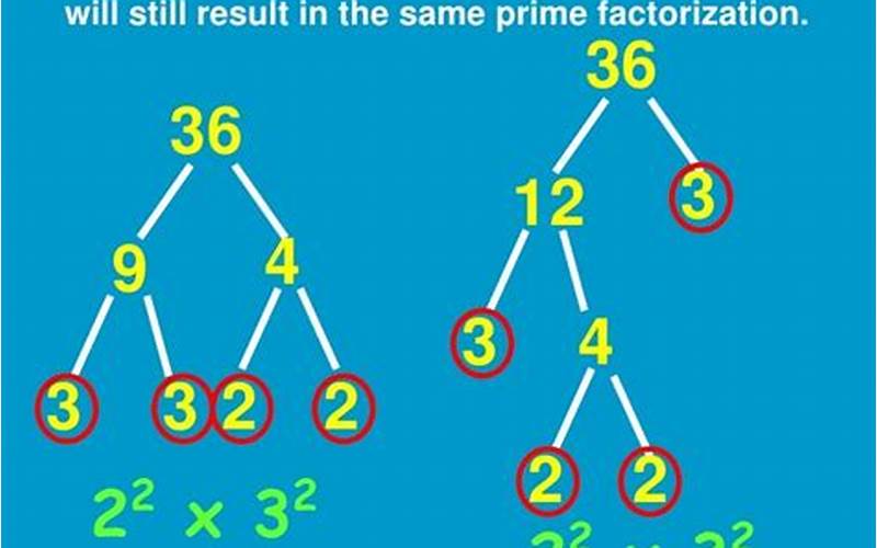 Why Is Prime Factorization Important?