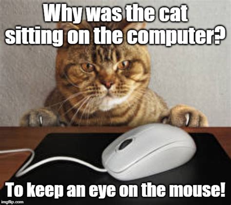Why did the cat sit on the computer? He wanted to keep an eye on the mouse!