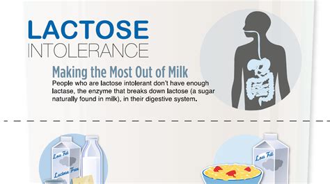Why is Lactose Intolerance More Common in Some Cultures?