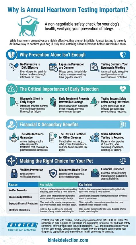 Why Annual Heartworm Testing is Non-Negotiable
