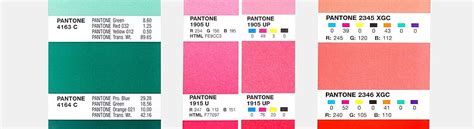 Why Are Color By Number Photos So Popular