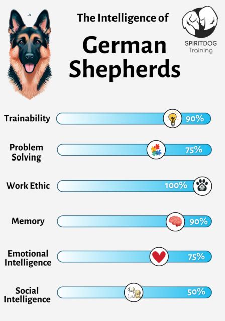 Why Are German Shepherds So Smart