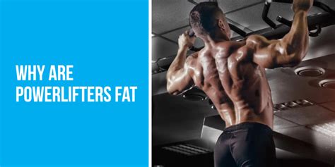 Why Are Powerlifters Fat