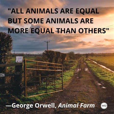 Why Are Puppies And Farm Animals Morally Equal