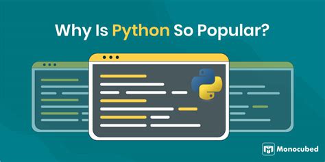 Why Are Python Questions So Popular