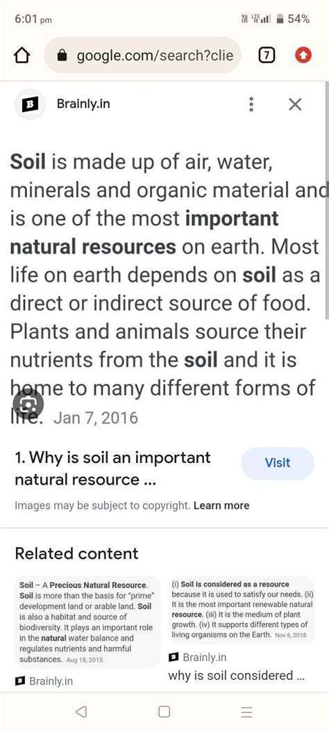 Why Brainly is a Valuable Resource