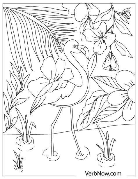 Why Choose Flamingo Coloring Pages Pdf Over Other Designs