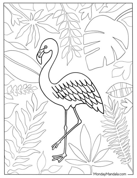 Why Choose Free Printable Flamingo Coloring Pages?
