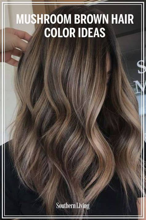 Why Choose Mushroom Highlights