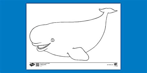 Why Choose a Whale Colouring In Picture