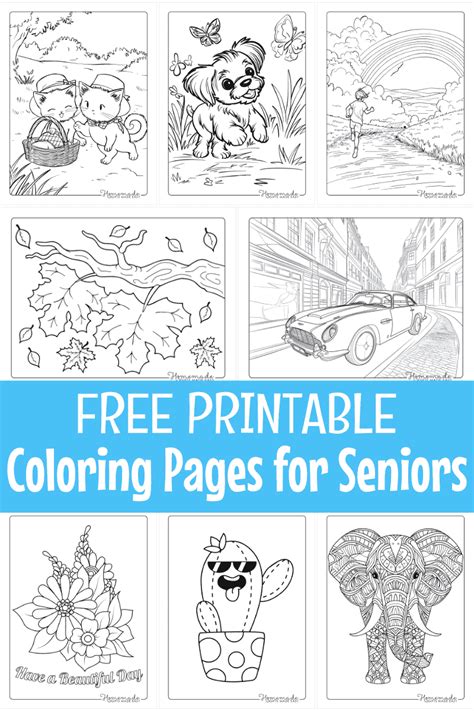 Why Coloring Pages For Seniors Are Trending