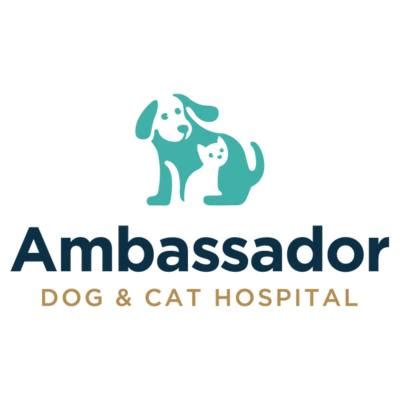 Why Companies Need Ambassador Dog And Cat Programs