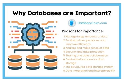Why Databases Are Crucial