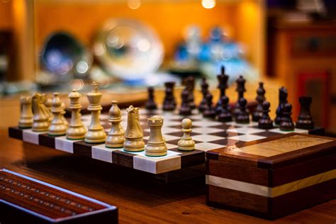 Why Delphi and Python are All You Will Ever Need to Succeed 
