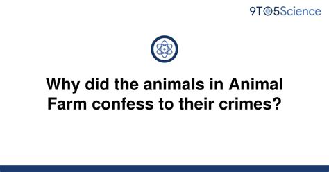 Why Did All Of The Animals Confess In Animal Farm