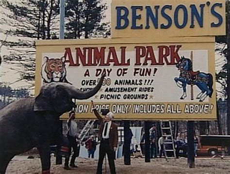 Why Did Benson'S Animal Farm Close