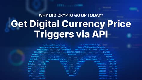 Why Did Crypto Go Up Today