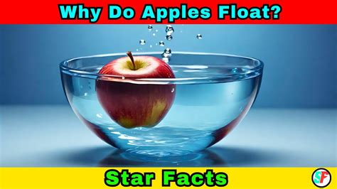 Why Do Apples Float