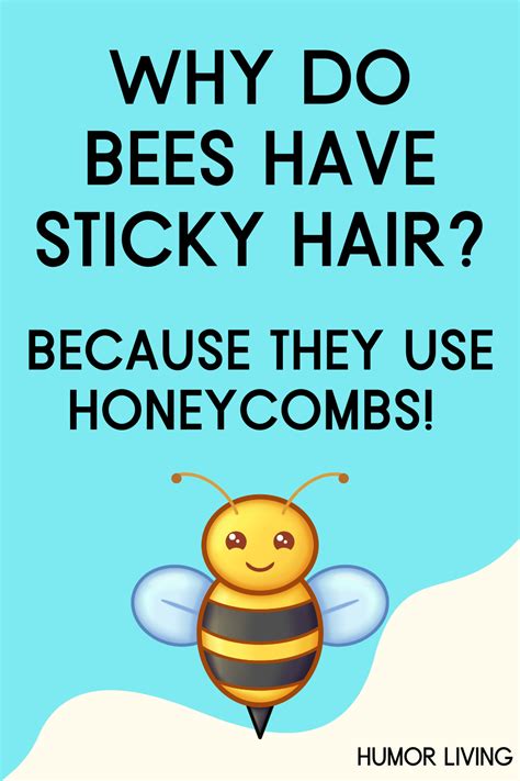 Why Do Bees Have Sticky Hair Joke