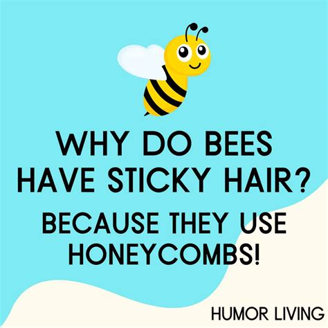 Why Do Bees Have Sticky Hair Worksheet
