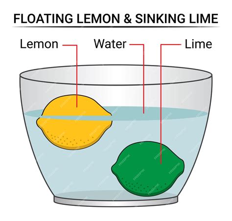 Why Do Lemons Float And Limes Sink