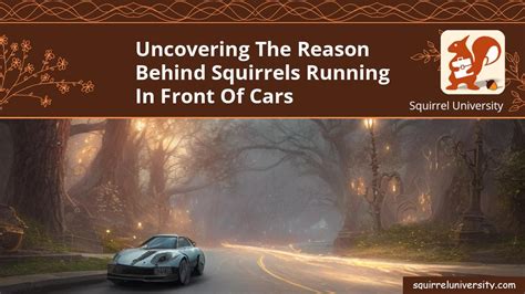 Why Do Squirrels Run In Front Of Cars