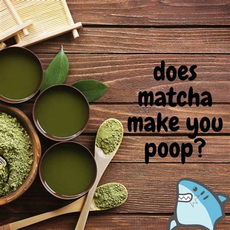 Why Does Matcha Make Me Poop