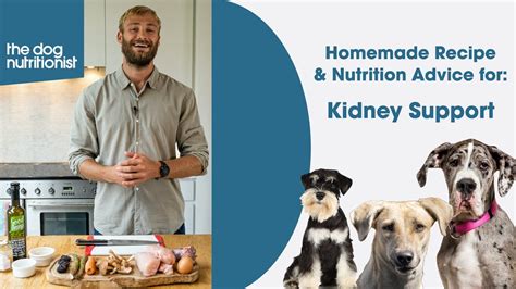Why Dog Food Kidney Support Matters