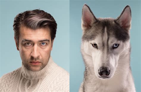 Why Dogs and Owners Look Alike