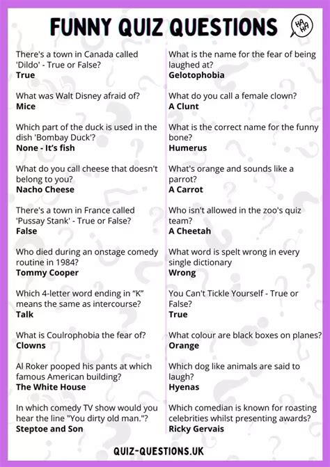 Why Fun Quiz Questions Are a Hit!