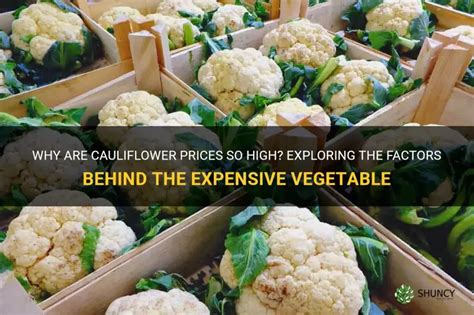Why Is Cauliflower So Expensive