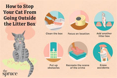 Fixing Your Frustration: Why Your Beloved Cat is Leaving a Mess Outside of the Litter Box