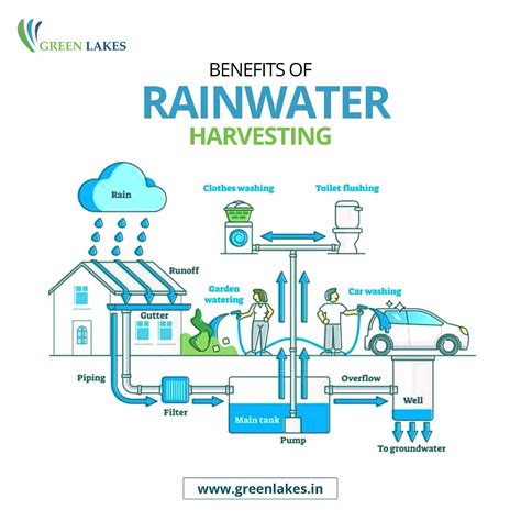 Why Is Rain Important