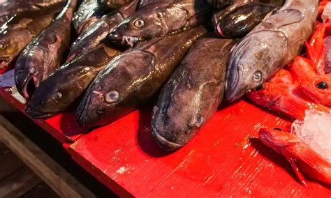 Why Is Sablefish So Expensive