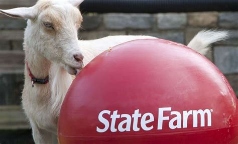 Why Is State Farm So Expensive