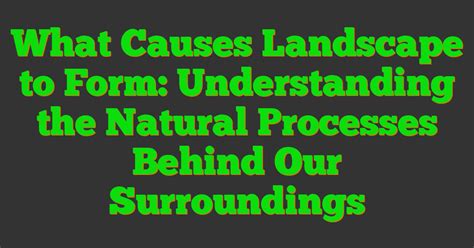 Why Is Understanding Its Natural Form Important?