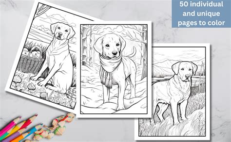 Why Labradors Make the Best Coloring Subjects