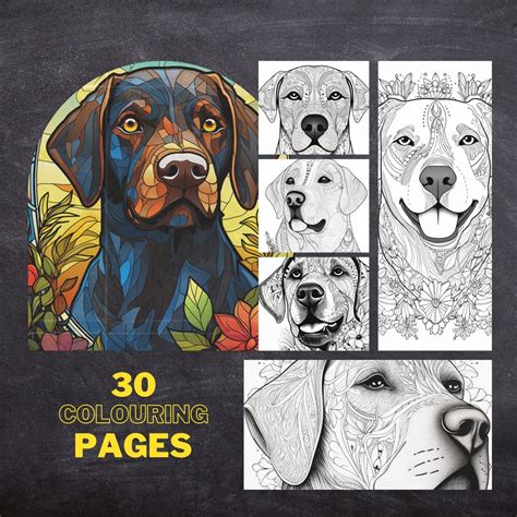Why Labradors Make the Best Colouring Subjects