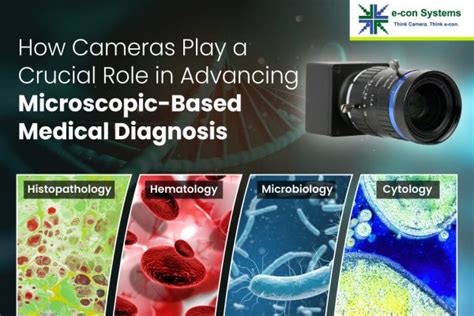 Why Microscopic Analysis is Crucial