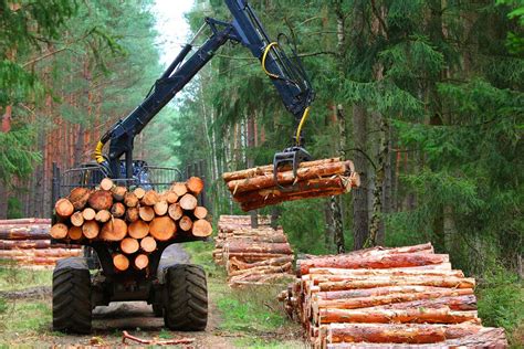 Why Mid-Century Modern Still Reigns Supreme