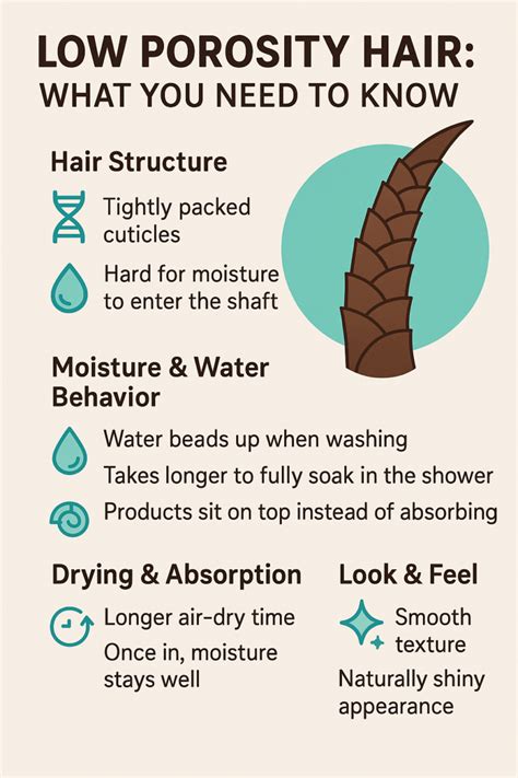 Why Most Oils Fail Low Porosity Hair