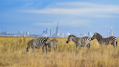 Why Nairobi City Tour