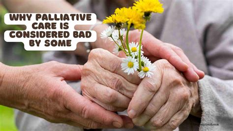 Why Palliative Care Is Bad